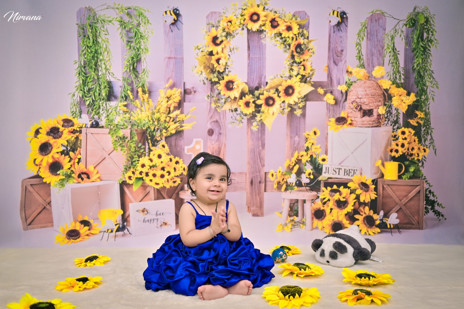 Expressive baby milestone portrait by Nirvana Photography, image 14