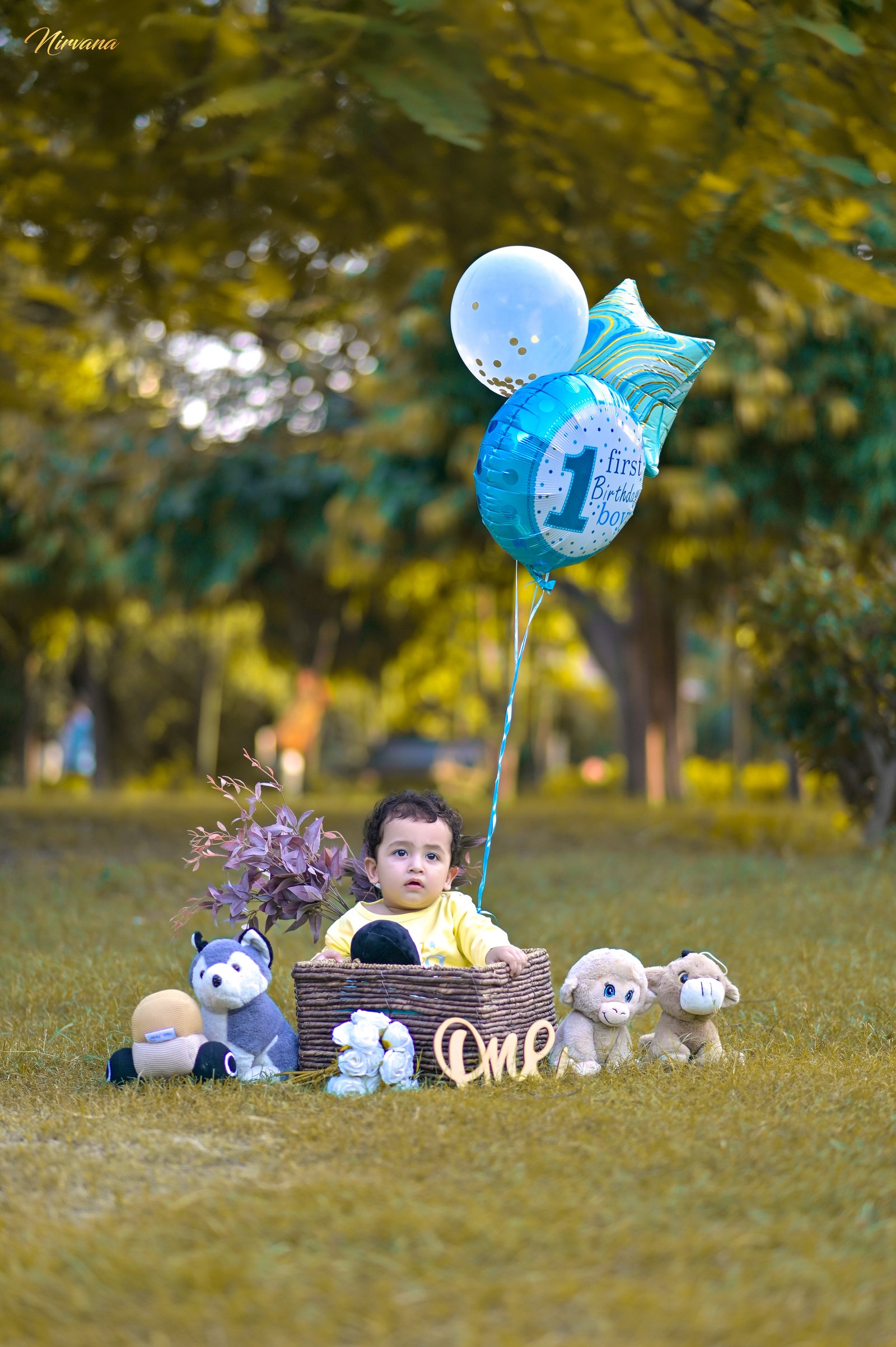 Milestones photography by Nirvana Photography