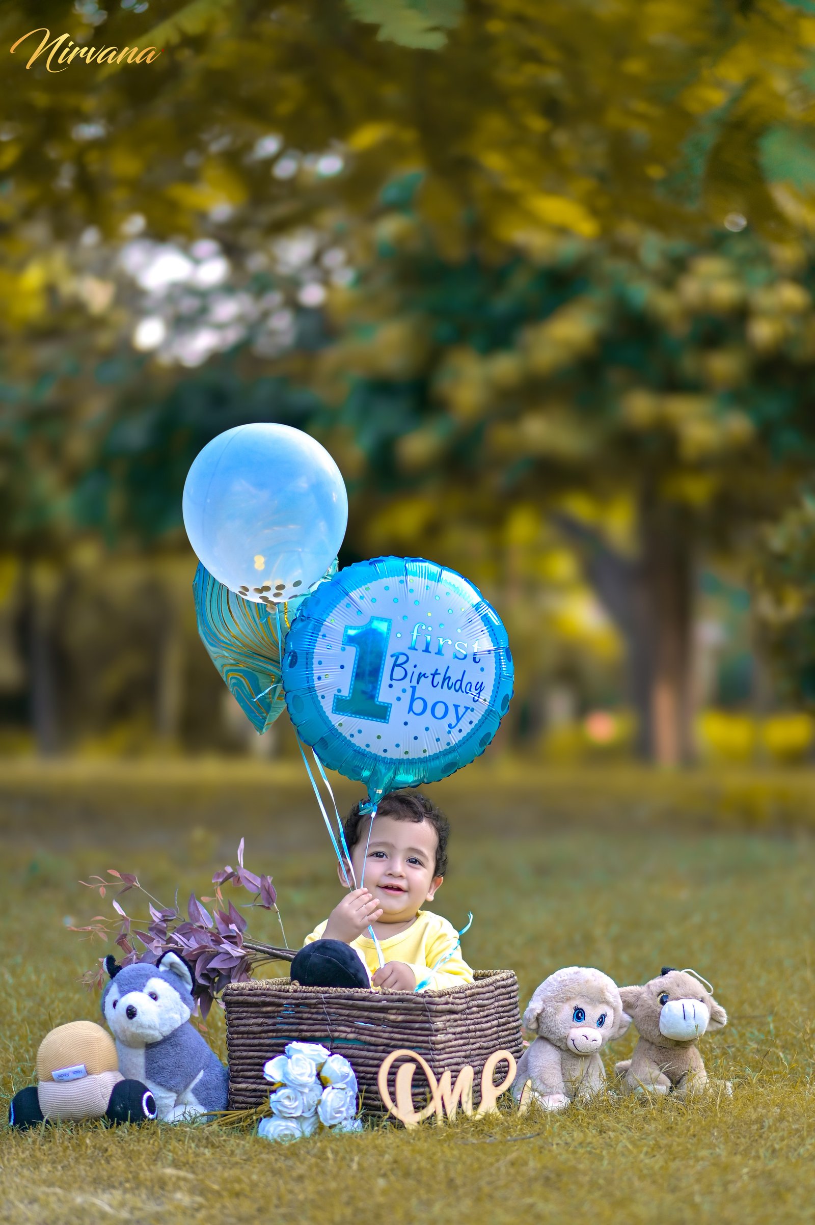 Expressive baby milestone portrait by Nirvana Photography, image 23
